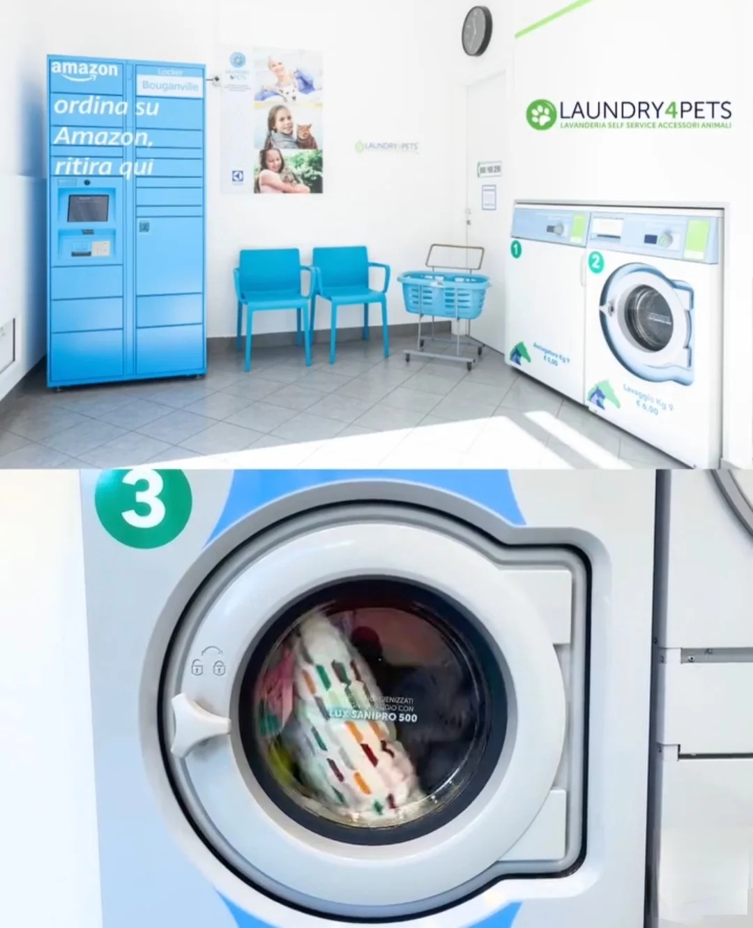 Interno della lavanderia Laundry4Pets Salerno