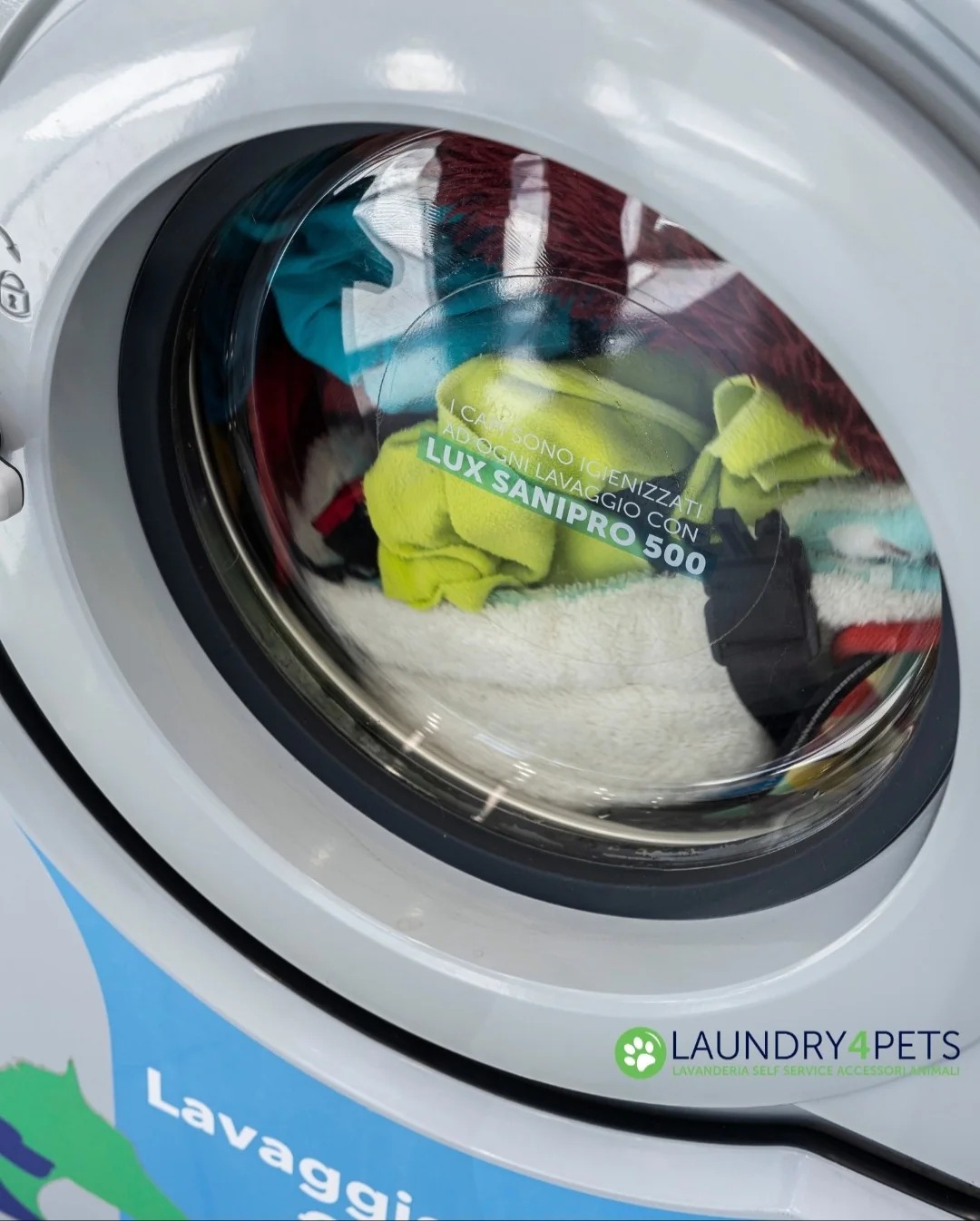 Lavaggio di accessori per animali nella lavatrice Laundry4Pets